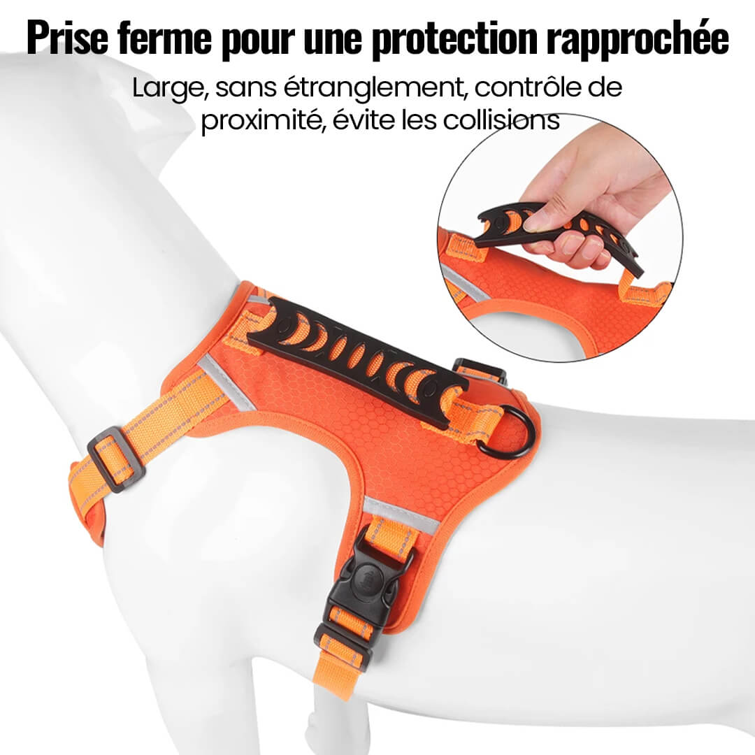 Collier Confortable Réfléchissant pour Chiens